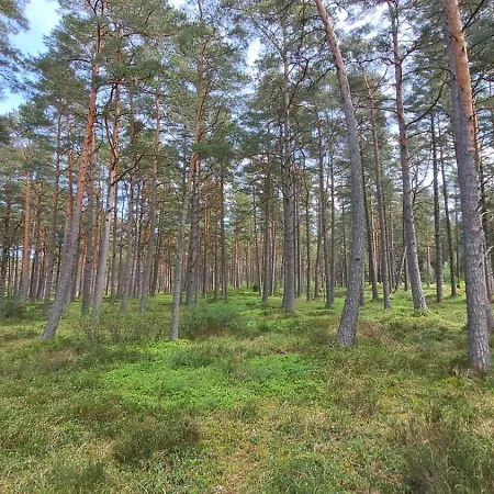 Czapli 10 Holiday home Kopalino