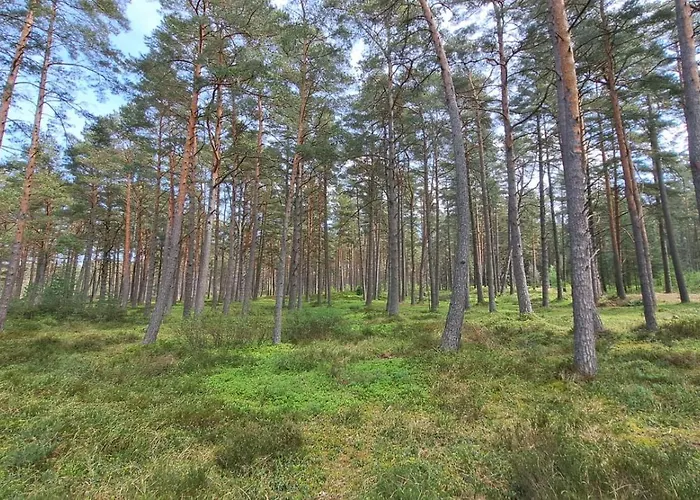 Czapli 10 Dom wakacyjny Kopalino