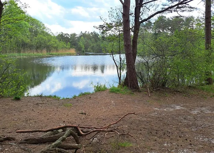 Czapli 10 Dom wakacyjny *