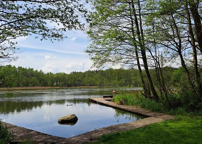 Dom wakacyjny Czapli 10 Kopalino